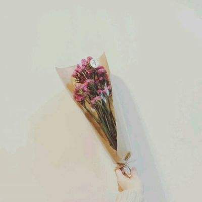 萌猫变变变游戏